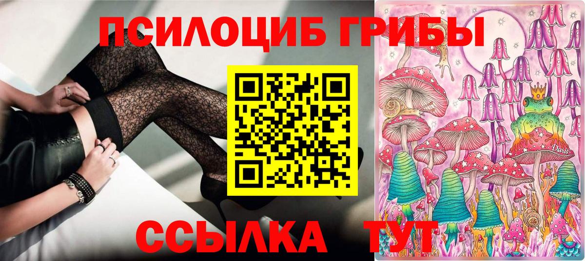 Пятигорск  Псилоцибиновые грибы Psilocybe  Псилоцибиновые грибы Cubensis  Вход с VPN 